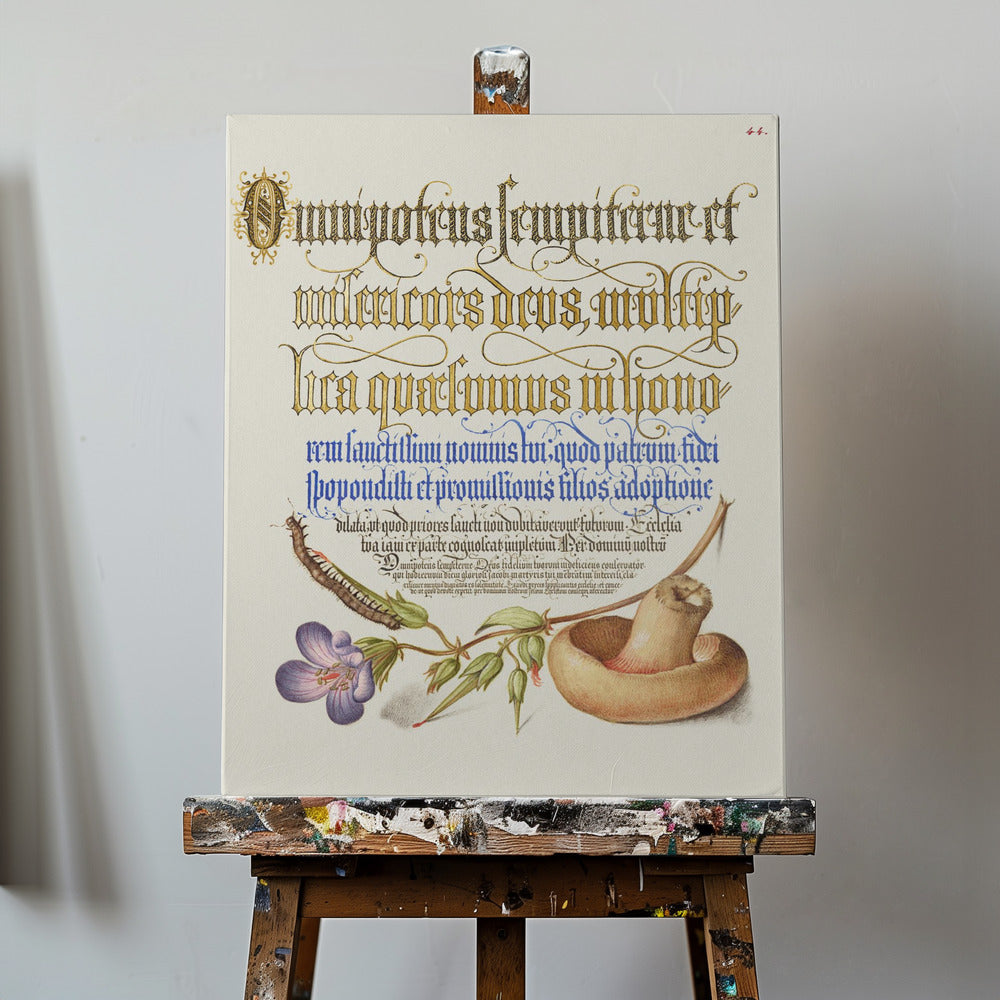 Paddestoel Posters - Kunstdrukken | Canvasprints