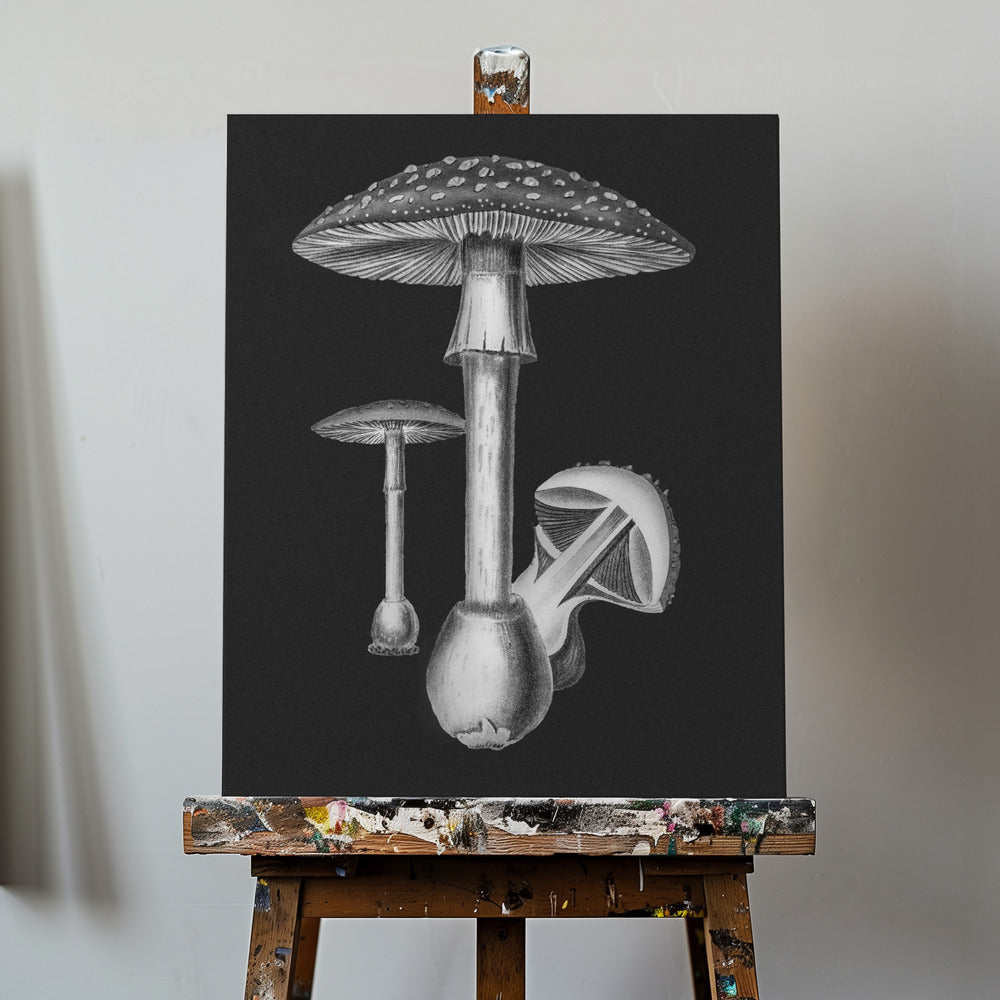 Punakärpässieni (Amanita Muscaria) Tumma tausta mustavalkoinen | Canvastaulut