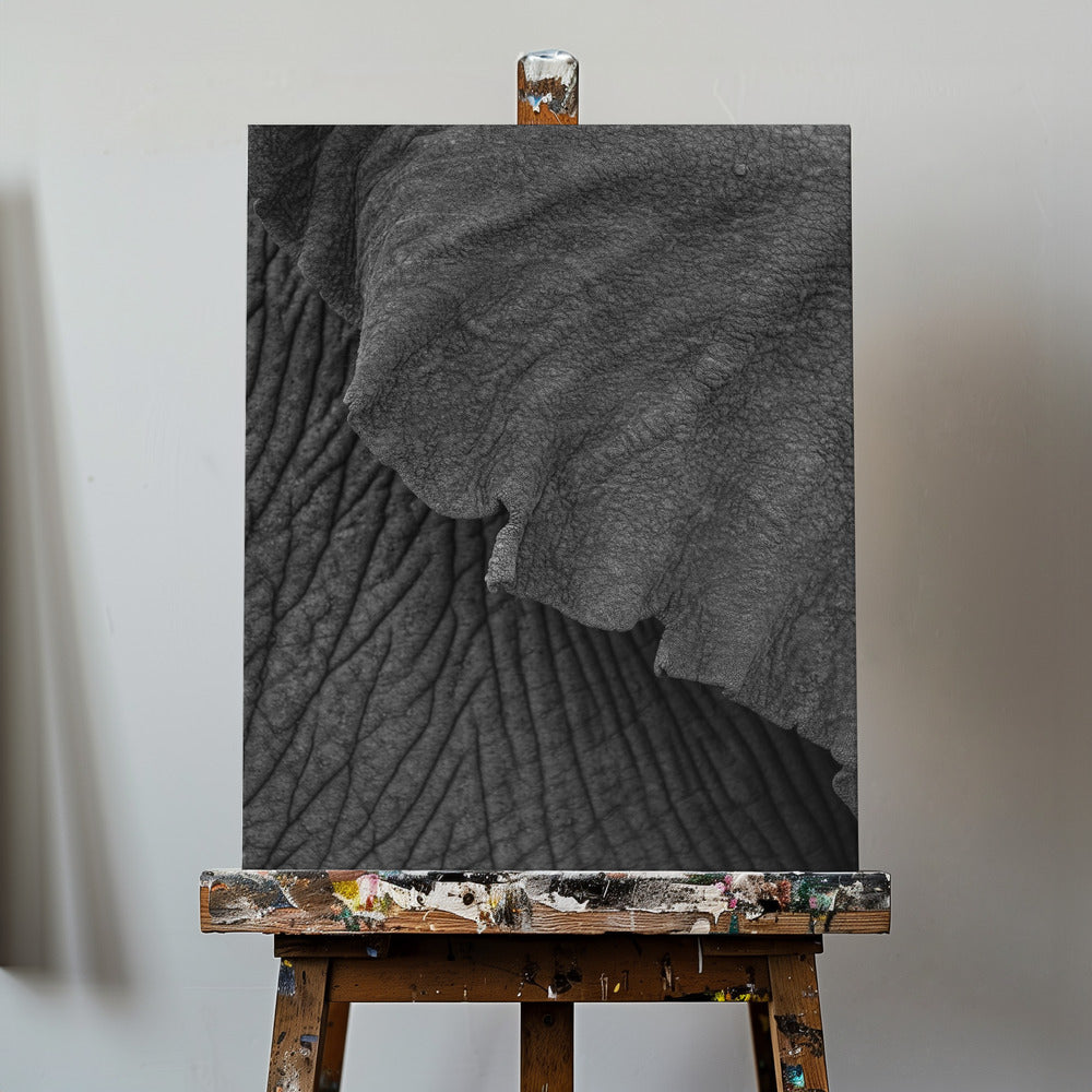 Elefant 02 | Canvas