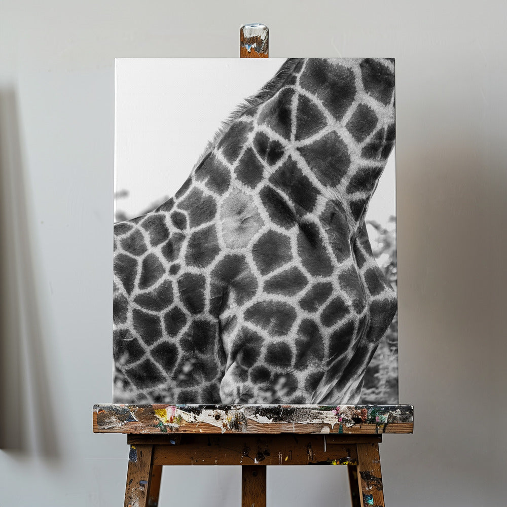Supersafari nr 3 | Canvas