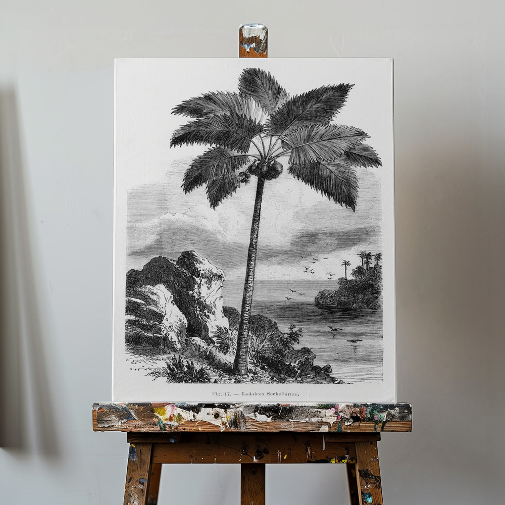 Dessin de palmier vintage I | Tableaux sur Toile