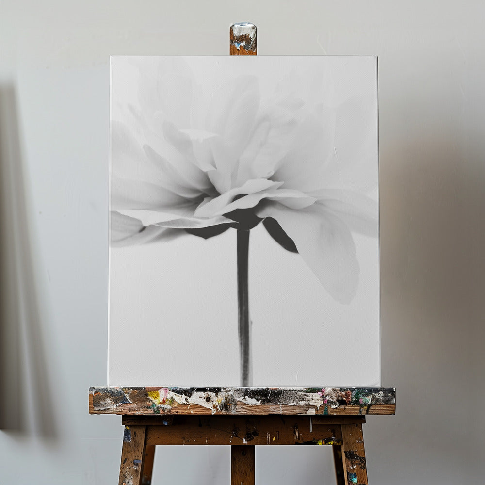 Japanse Kokosnoot | Canvasprints