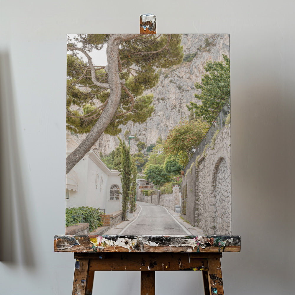 Streets of Capri | Canvas