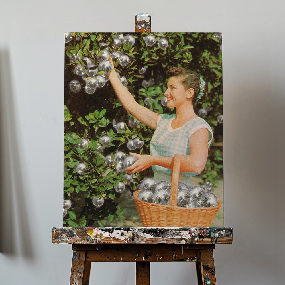 Disco Ball Grove | Canvas