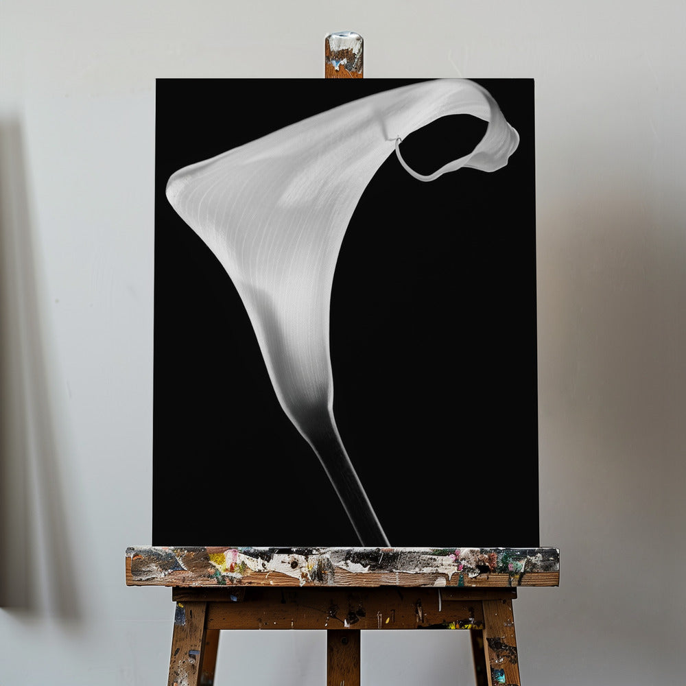 Calla | Canvas