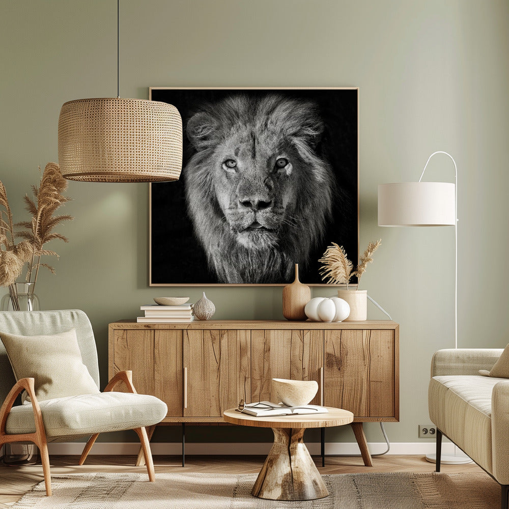 Lion Portrait- Panthera Leo | Canvas