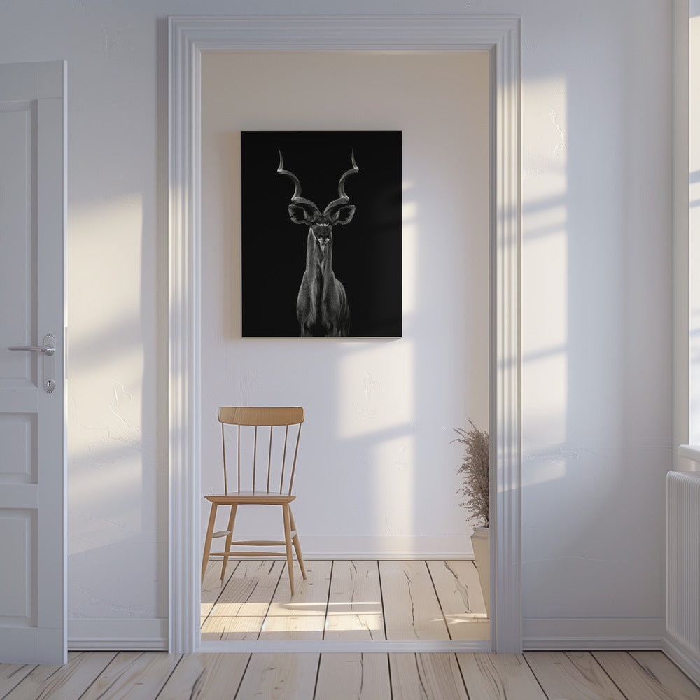Större kudu | Canvas