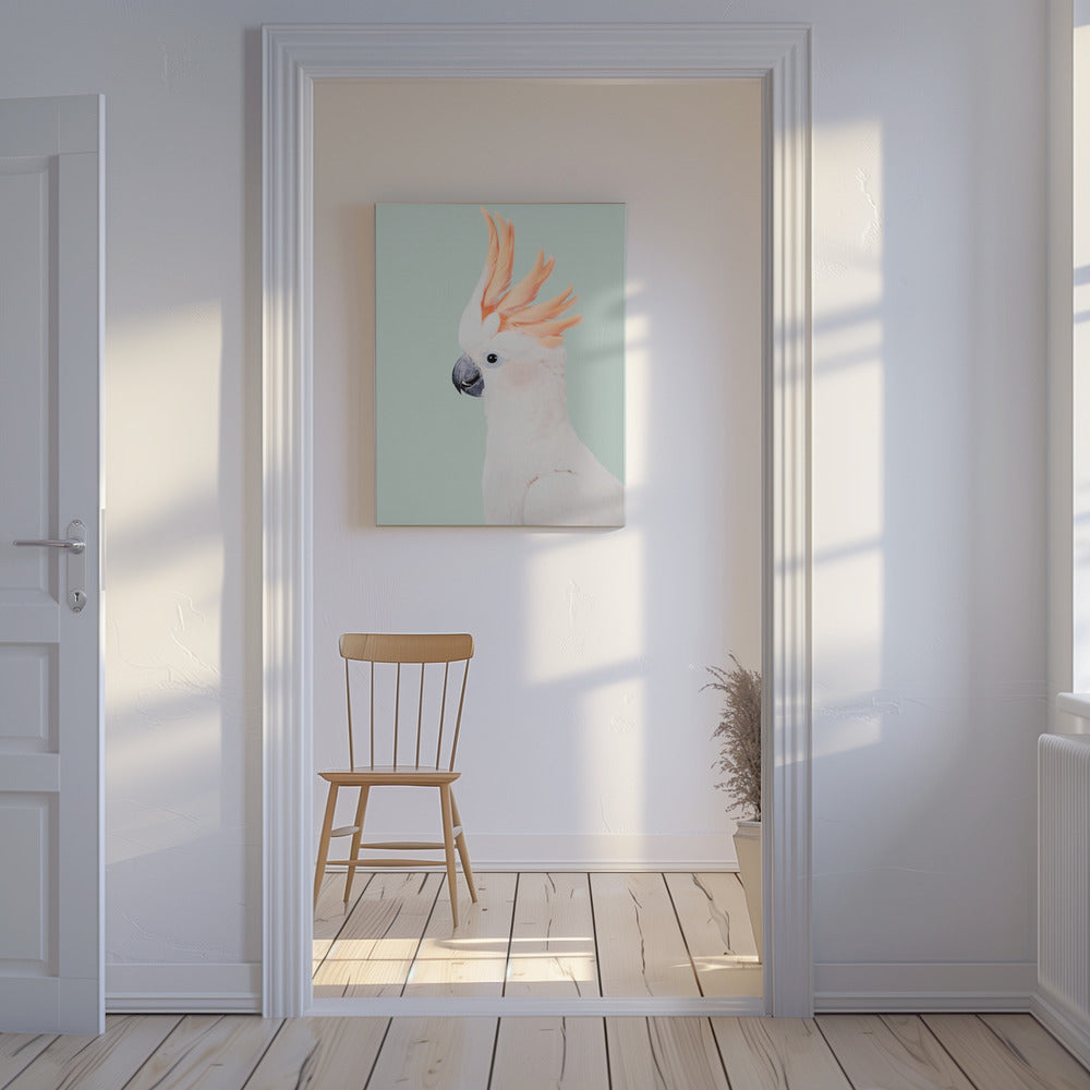Kaketoe | Canvasprints
