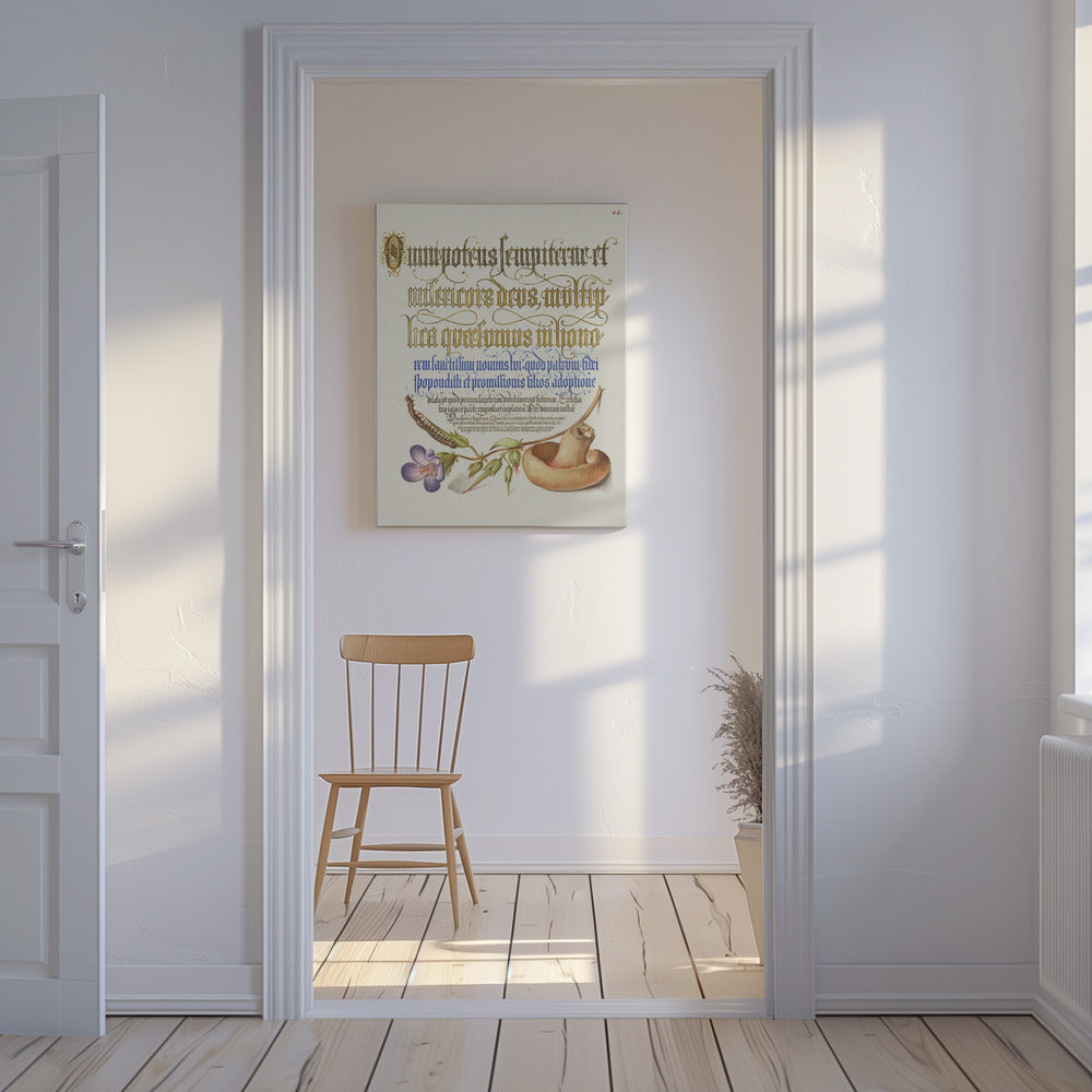 Paddestoel Posters - Kunstdrukken | Canvasprints