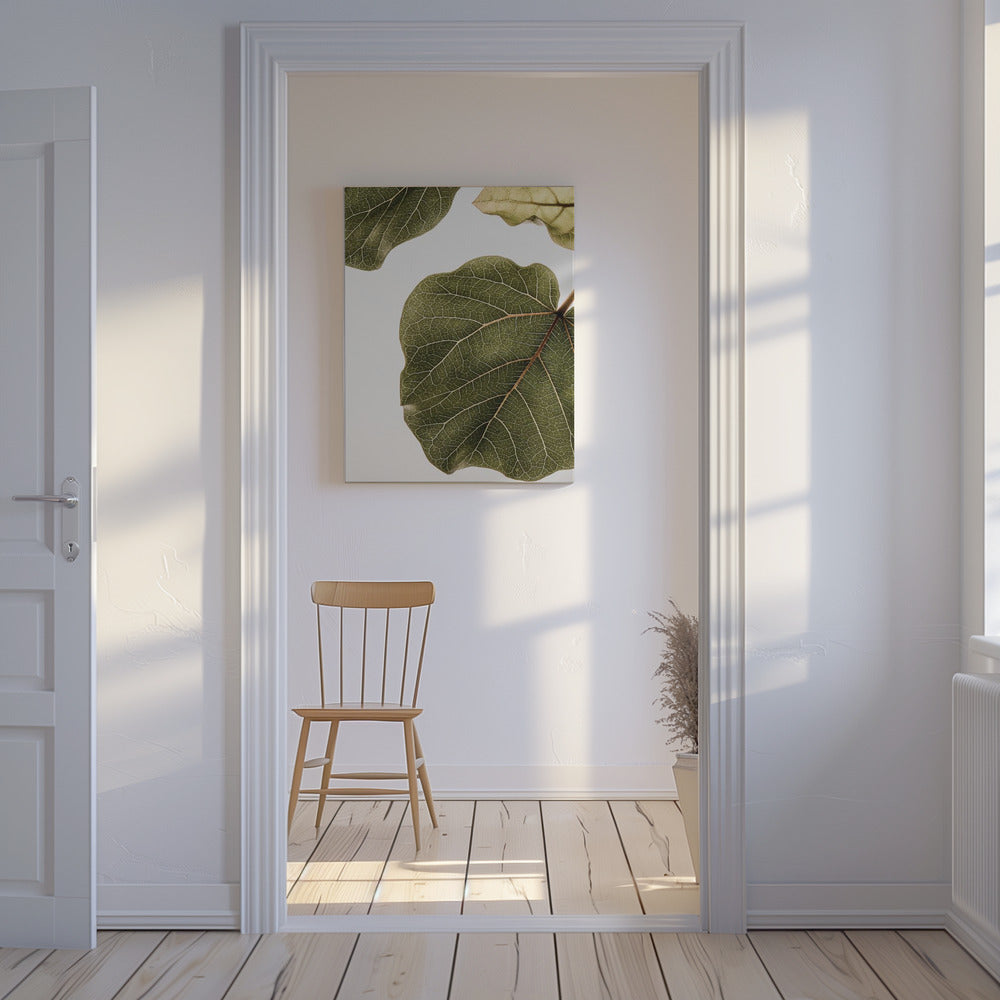 Abutifolia nr 2 | Canvas