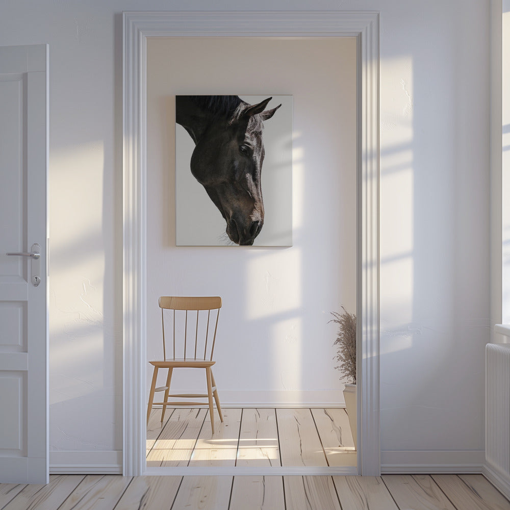 Bingo | Tableaux sur Toile
