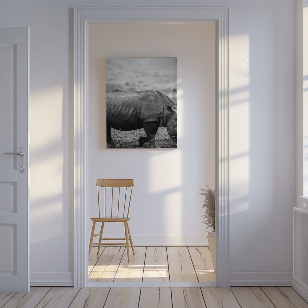 Black Rhino | Canvas