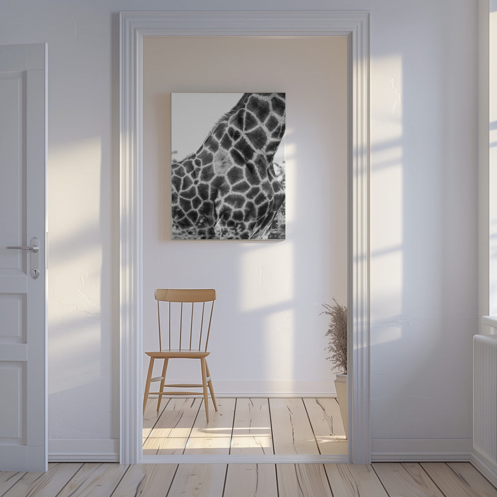 Supersafari nr 3 | Canvas