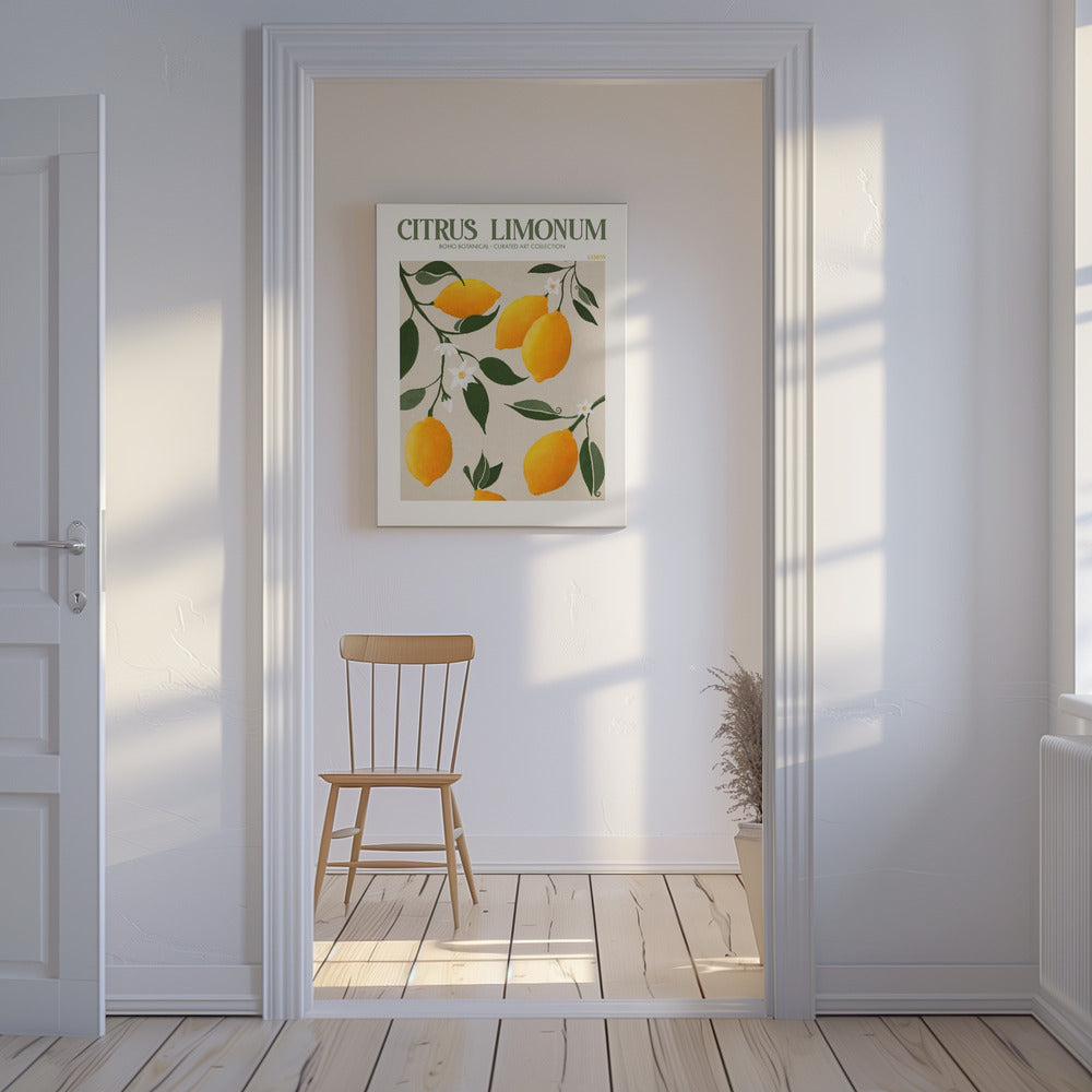 Citrus Limonum - Lemon | Canvas