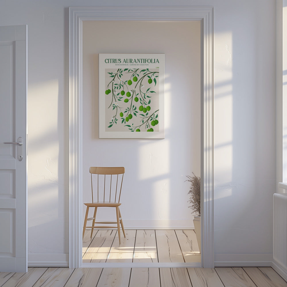 Citrus Aurantifolia – Limette | Leinwand-Bilder