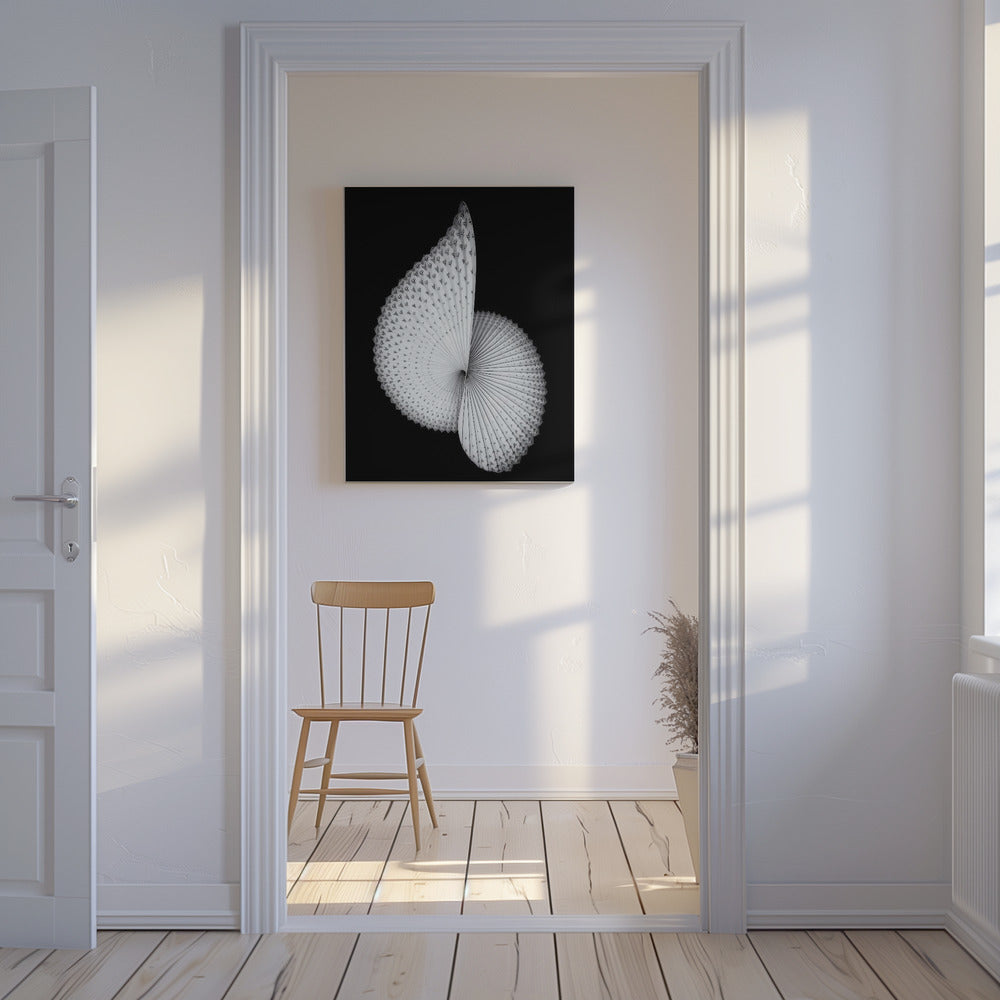Nautilus-like Sculpture | Canvas