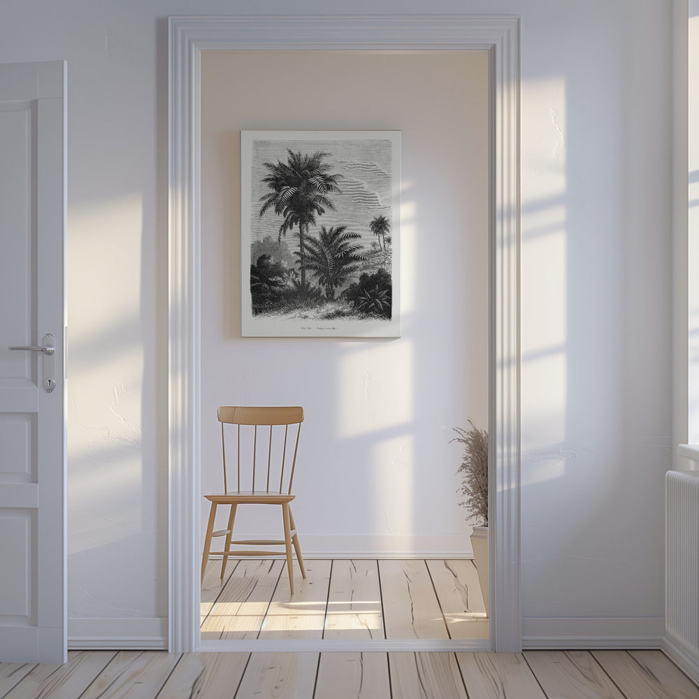 Dessin de palmier vintage V | Tableaux sur Toile