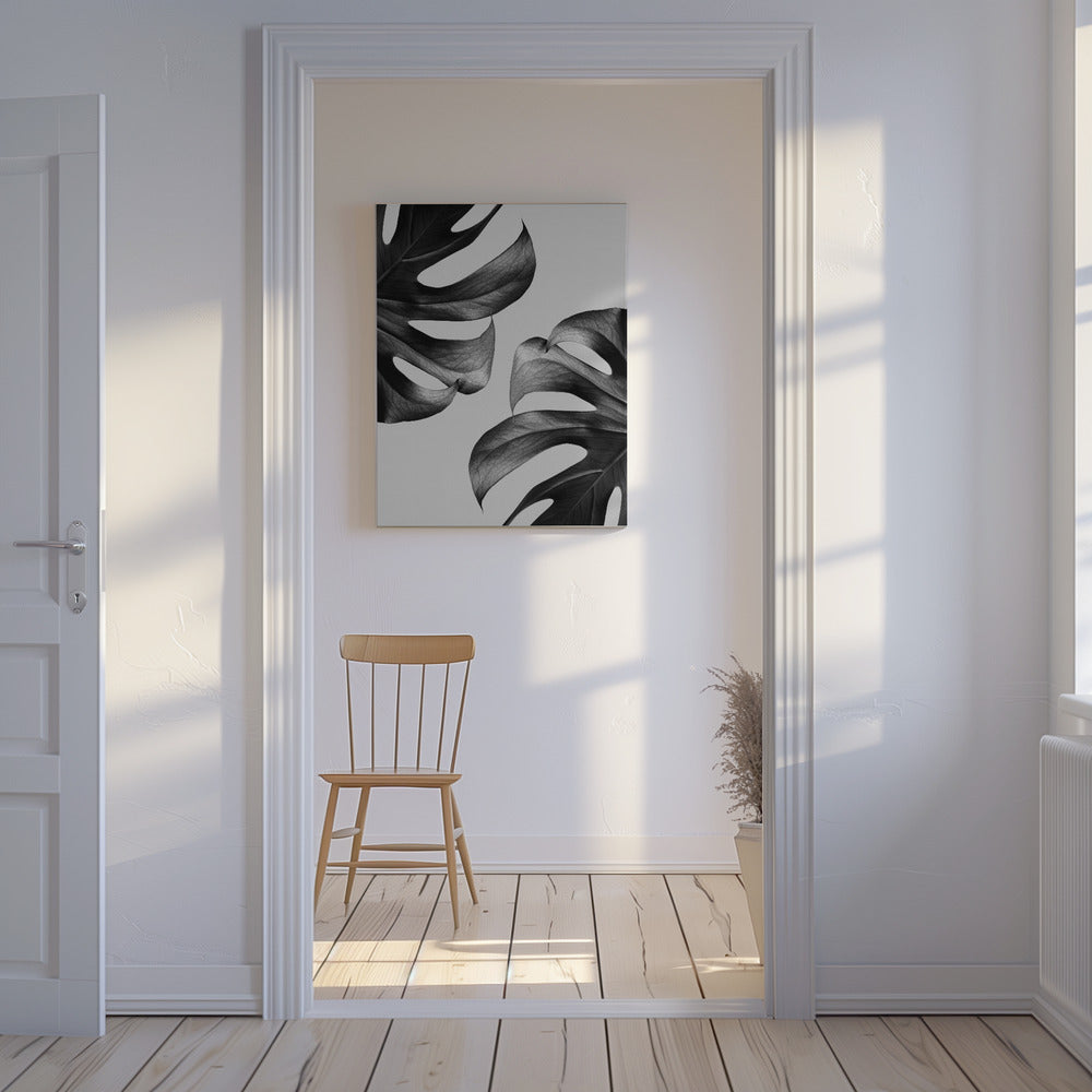Mostera monocromatica Poster - Stampe d’Arte | Stampe su Tela
