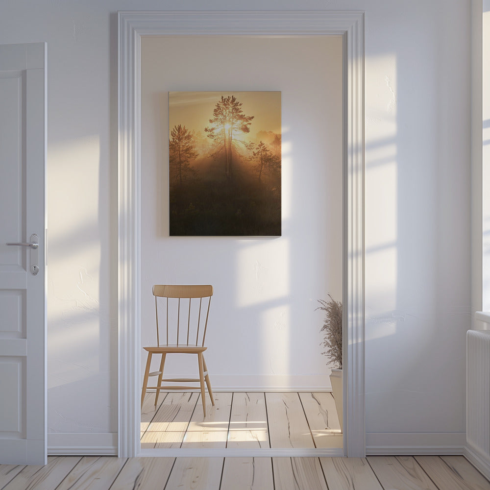 20220809 Dsf8009 Hdr 1 | Leinwand-Bilder