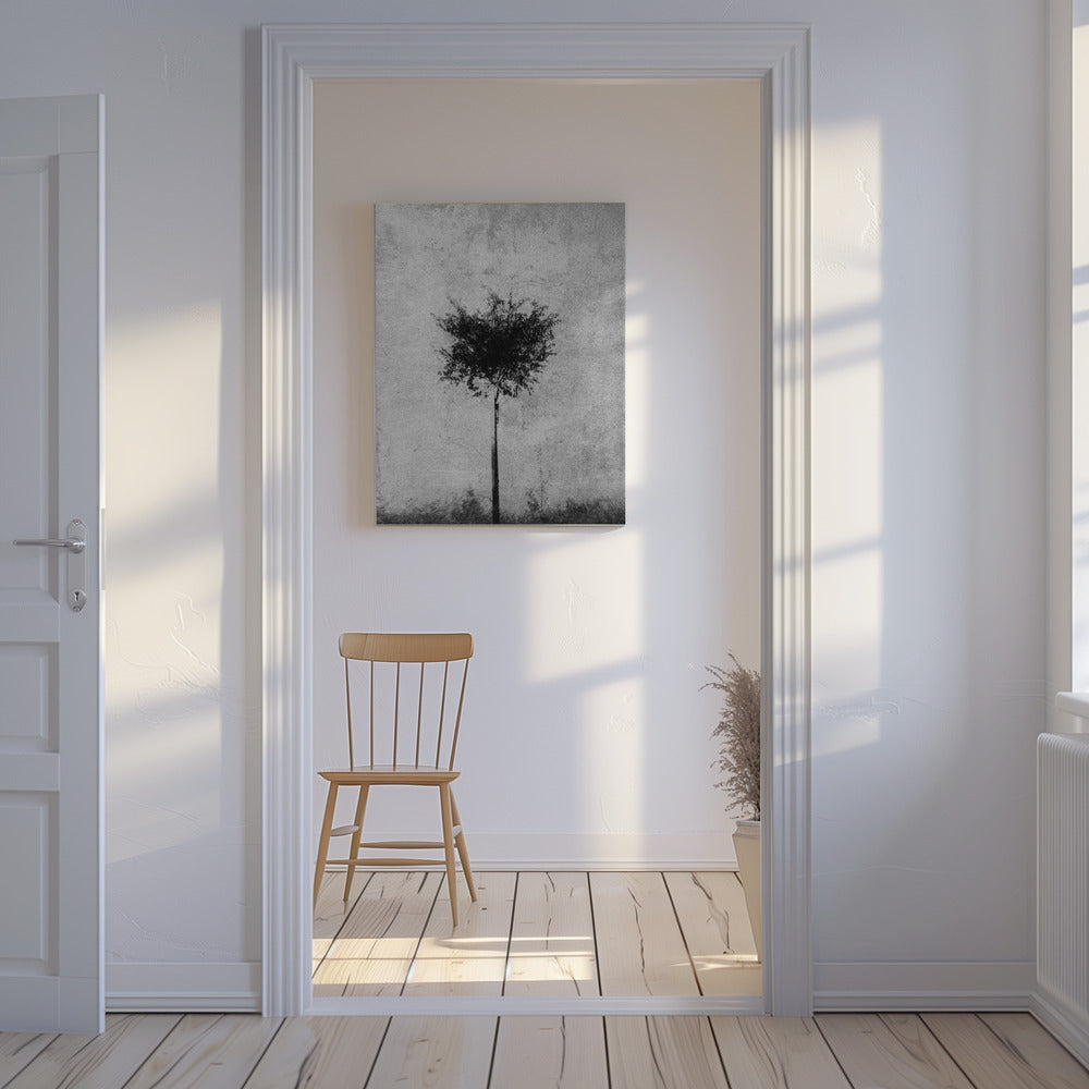 Boom in zwart-wit | Canvasprints