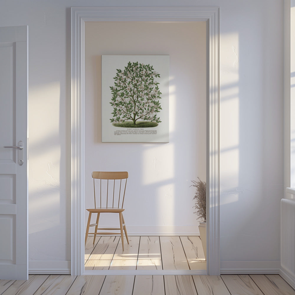 Litografia di un albero di magnolia resistente | Stampe su Tela