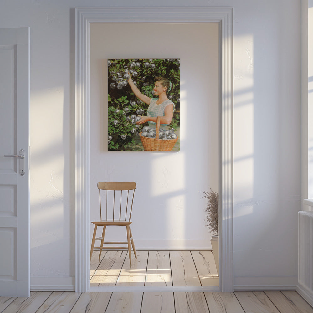 Disco Ball Grove | Canvas