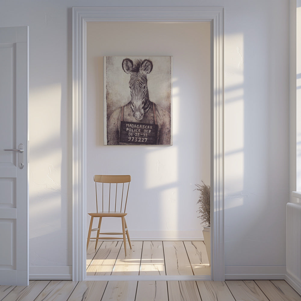 Zebra Mugshot Mystery | Canvas