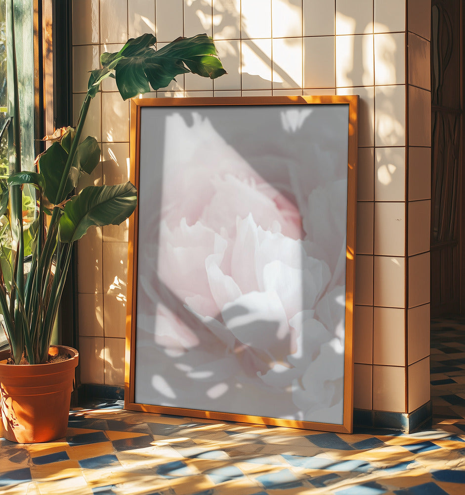 Peony 05 | Poster