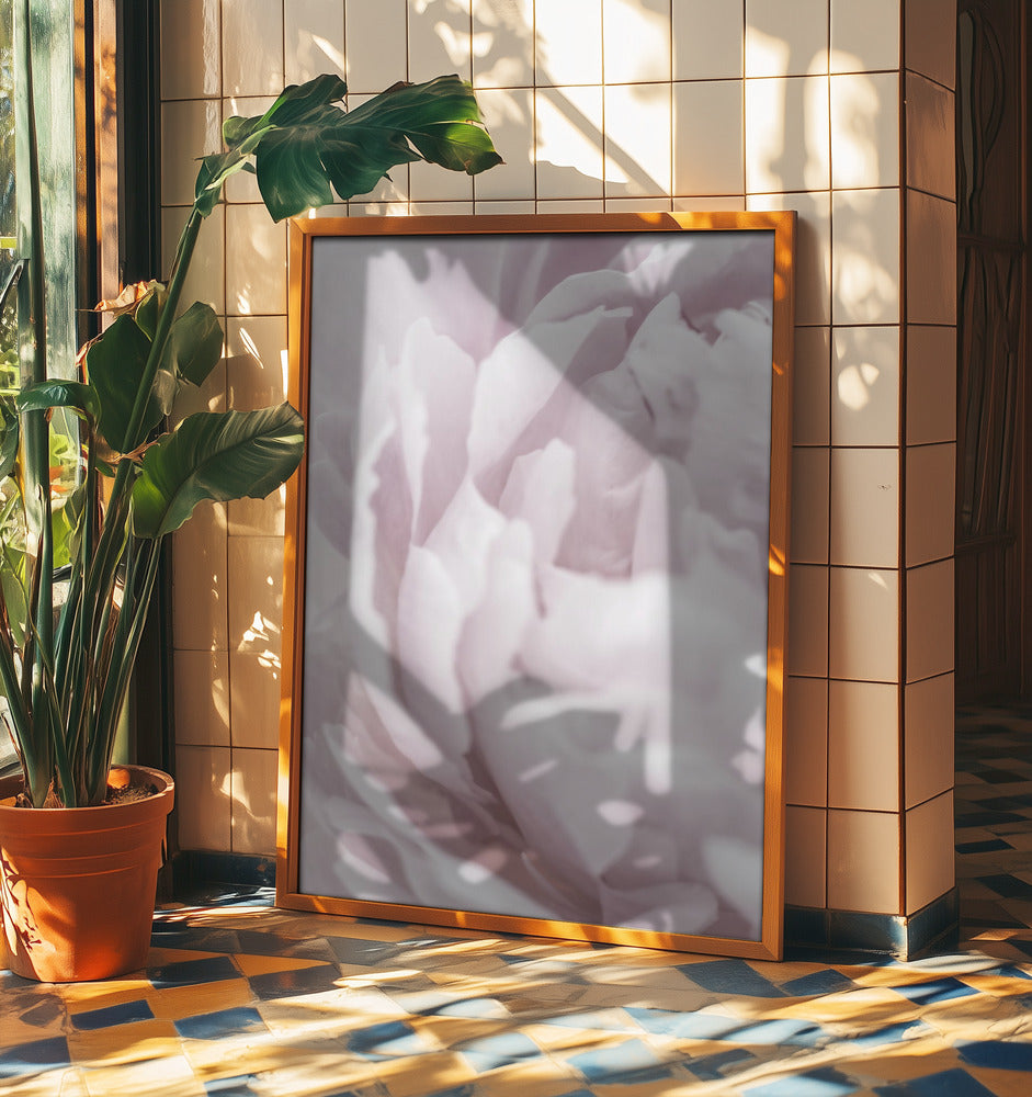 Peony 15 | Poster