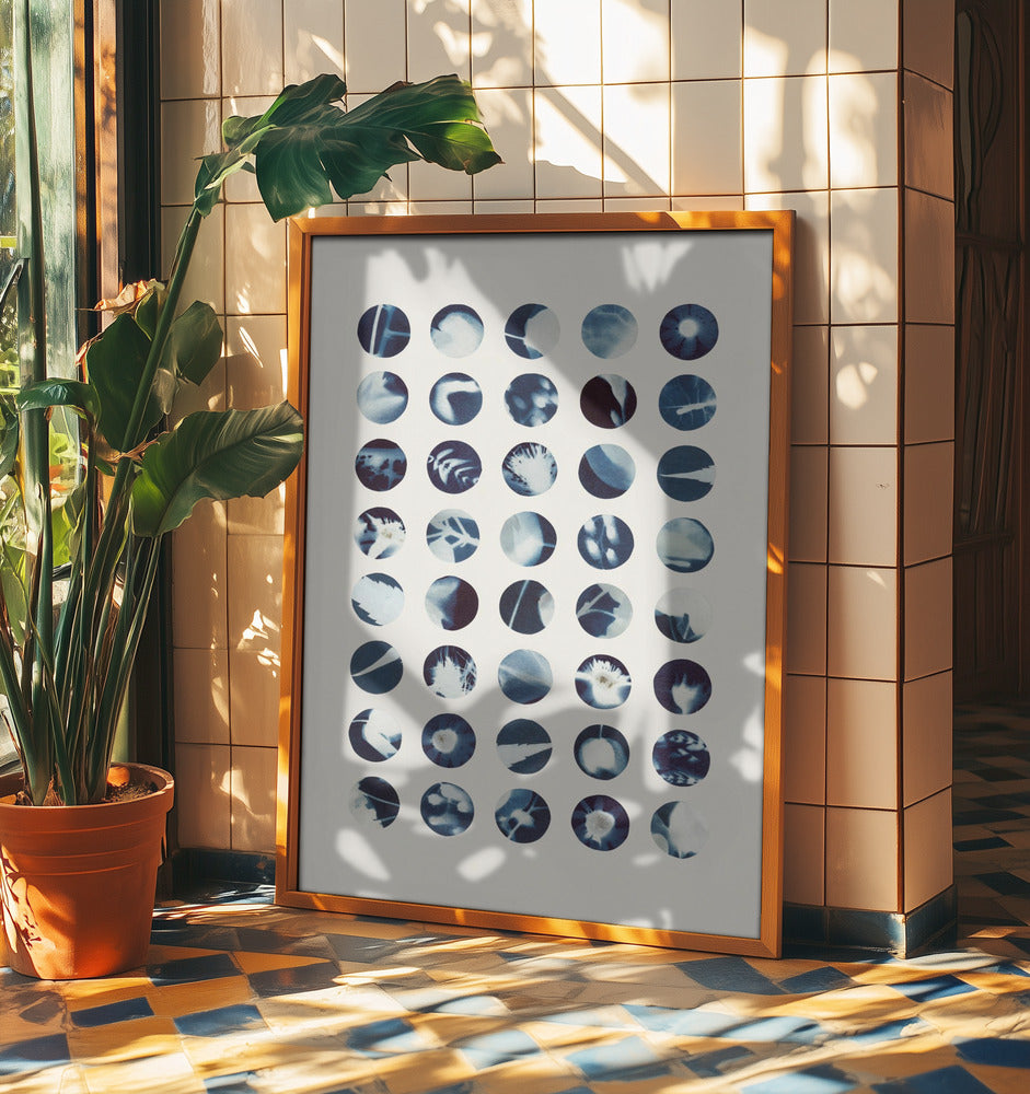 Botanische Cyanotypien | Poster