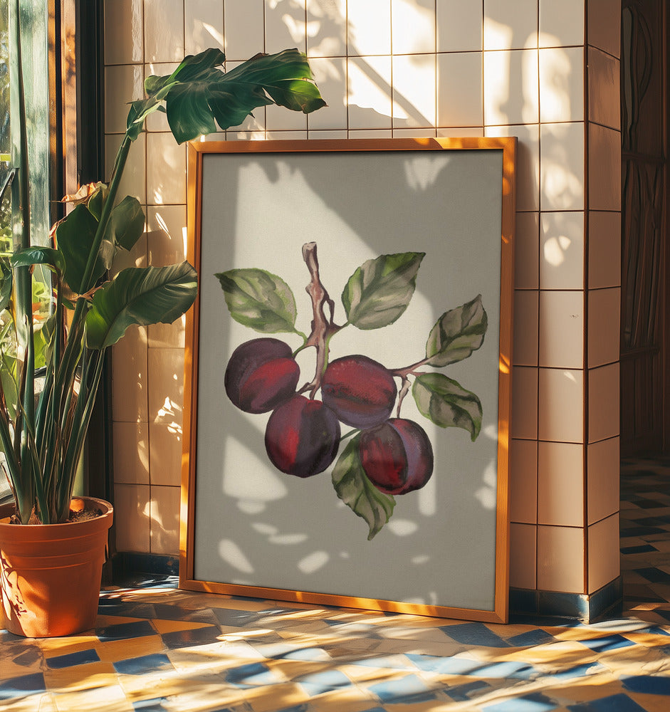 Collezione di frutta d'epoca | Poster - Stampe d’Arte