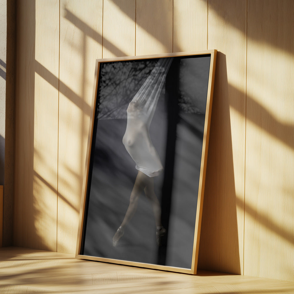 Transparente Dehnung | Poster
