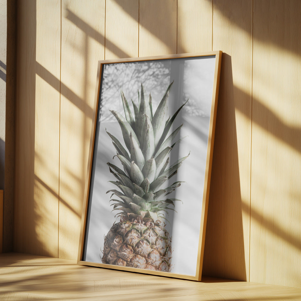 Piña Natural | Posters - Impresiones de Arte