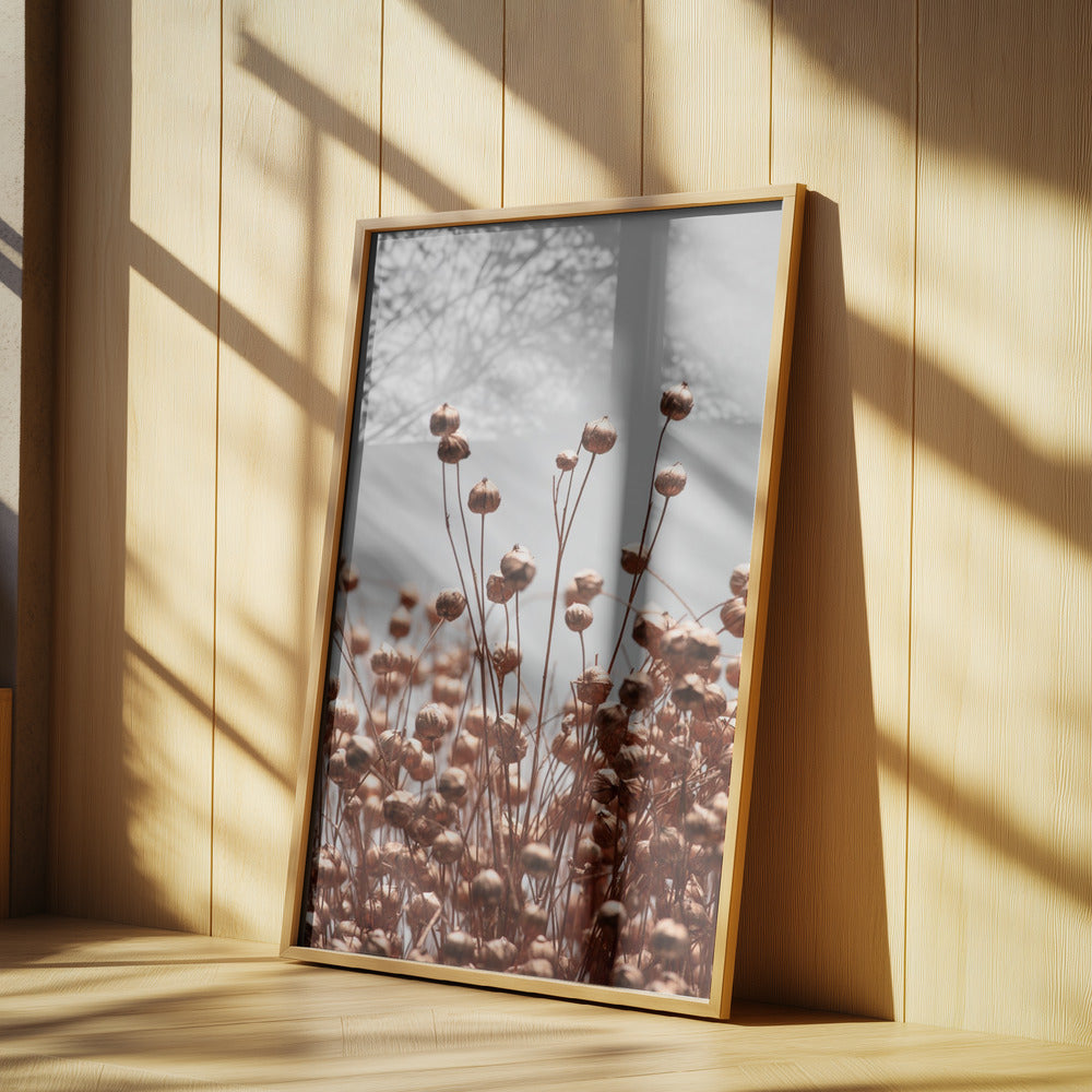 Dried Grass Copper 02 | Poster