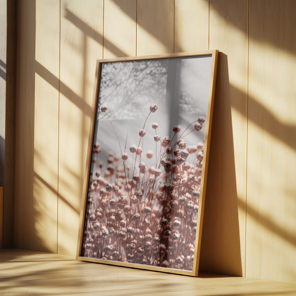Dried Grass Copper 05 | Poster