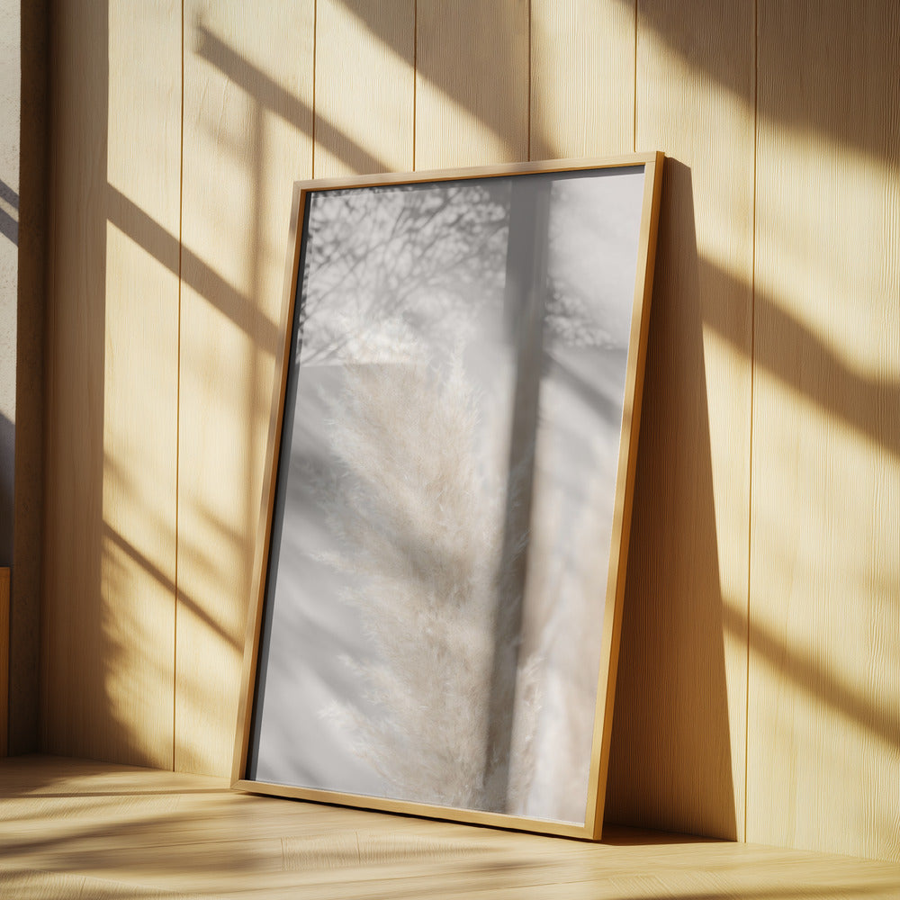 Pampas Grass Grey 03 | Poster