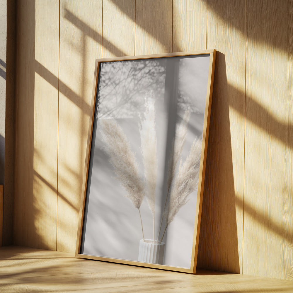 Pampas Grass Grey 05 | Poster