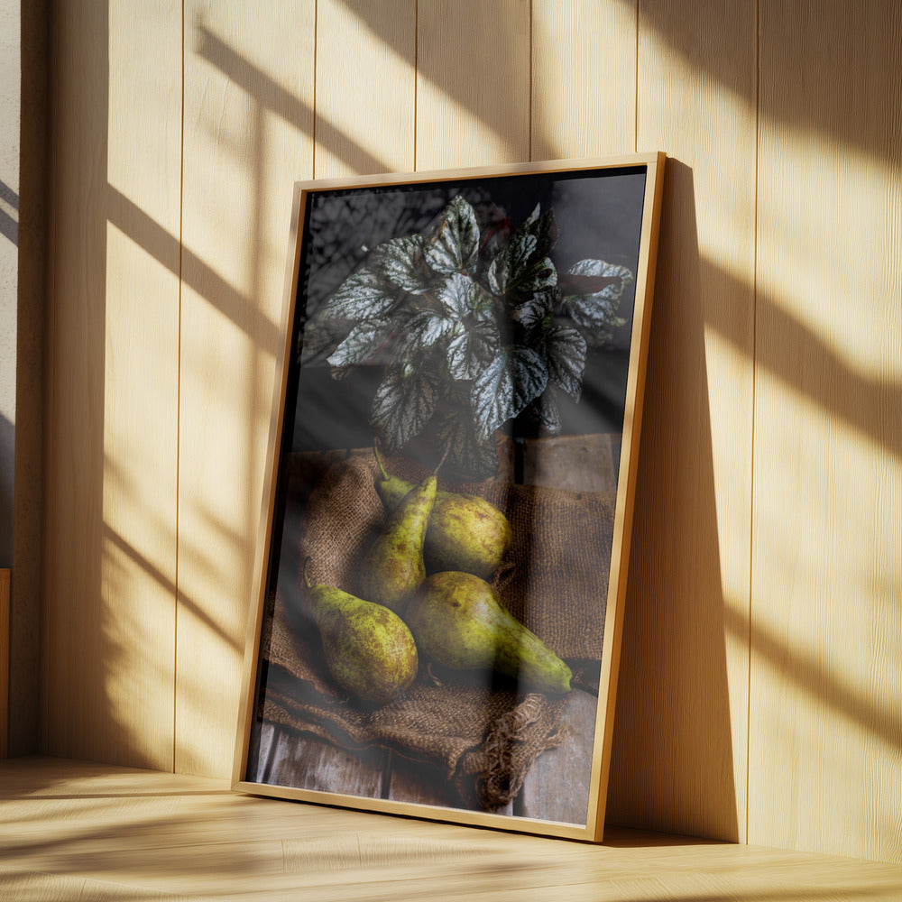 peren | Posters - Kunstdrukken