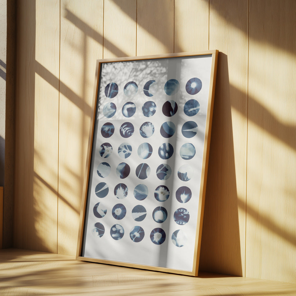Botanische Cyanotypien | Poster
