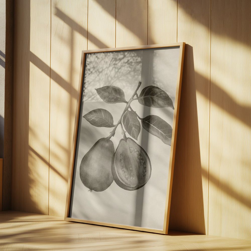 Vintage fruit | Poster