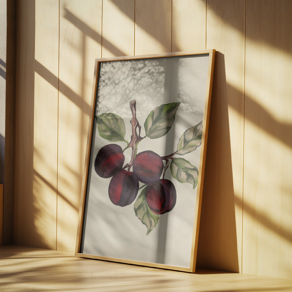 Collezione di frutta d'epoca | Poster - Stampe d’Arte