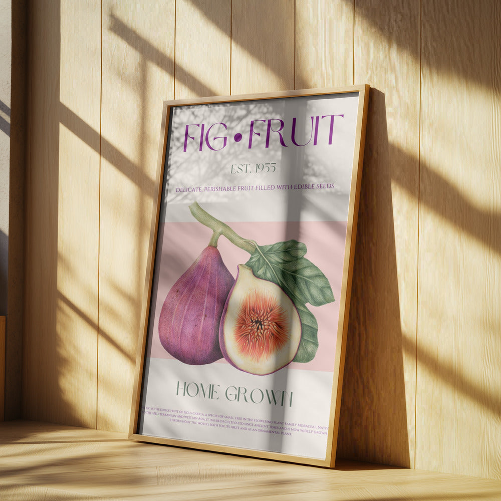 Vintage Fig Delight | Poster