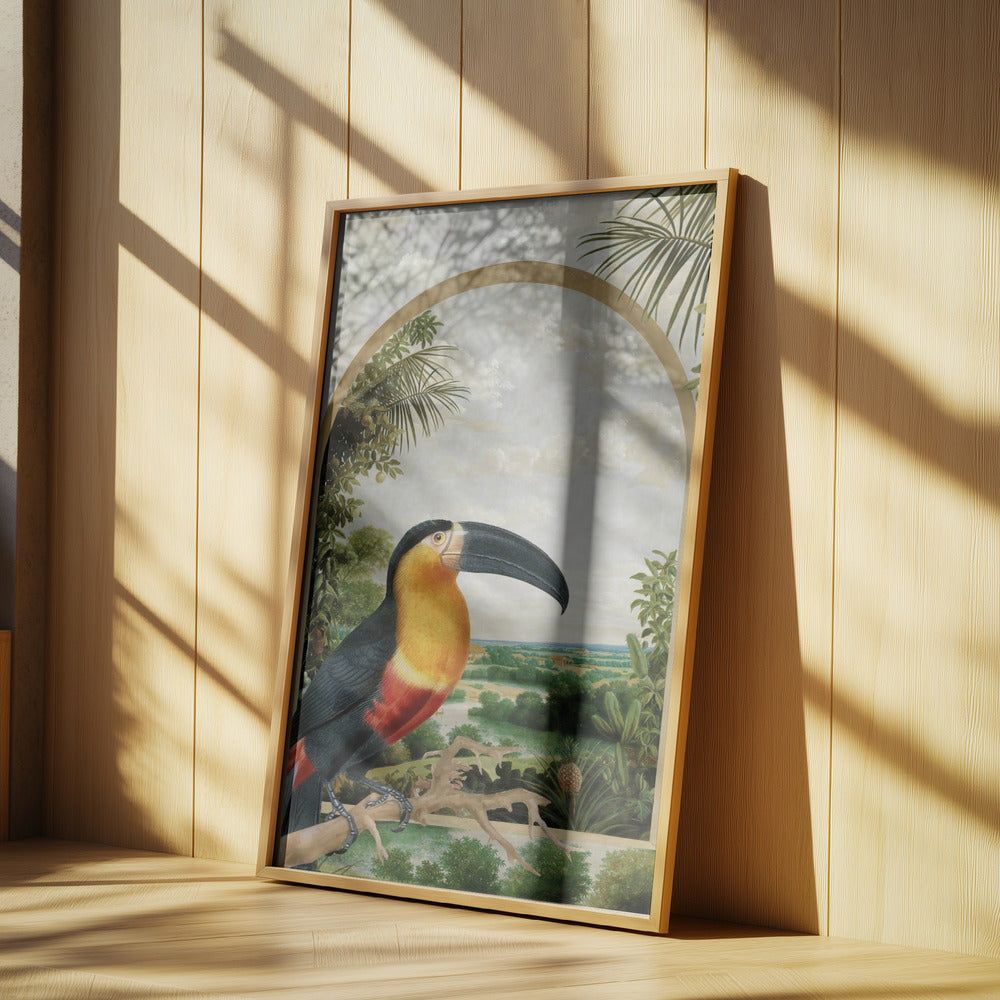 Toucan Perched on a Branch | Poster