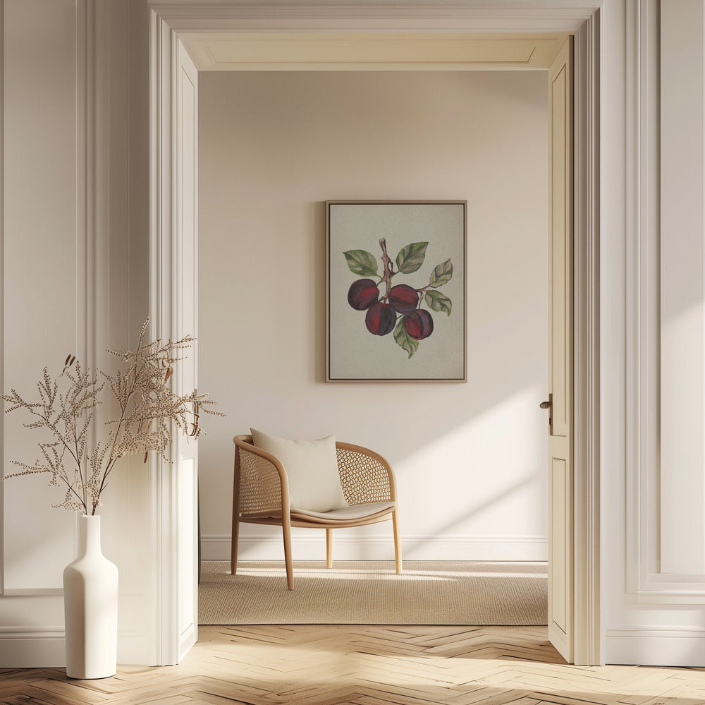 Collezione di frutta d'epoca | Poster - Stampe d’Arte