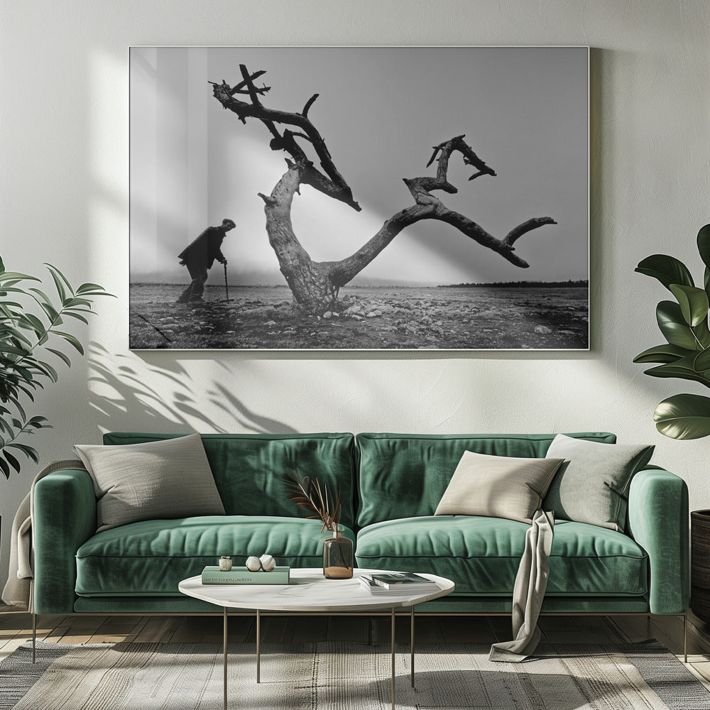 Old Man and Tree | Canvas