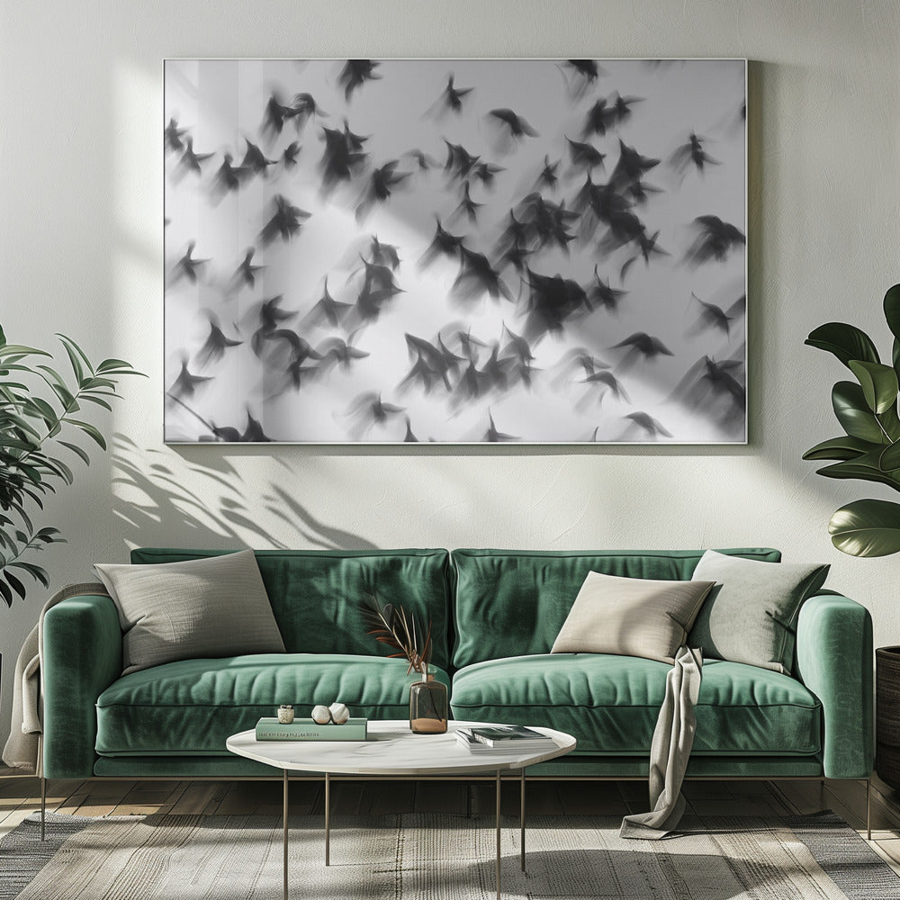 Vögel | Leinwand-Bilder