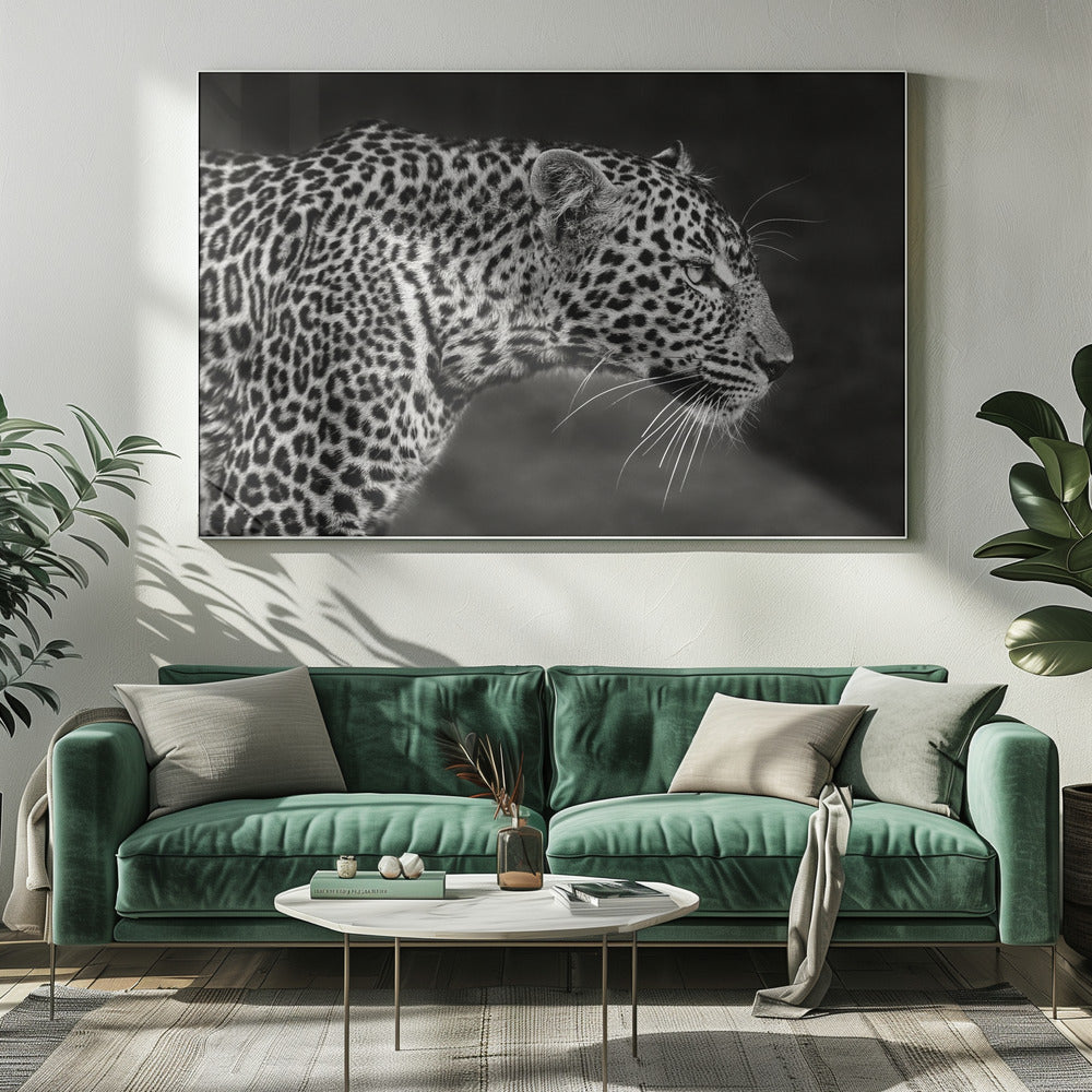 Primo piano del leopardo | Stampe su Tela