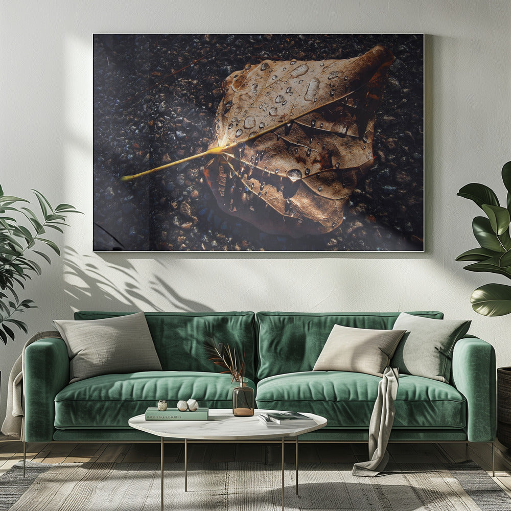 Blatt | Leinwand-Bilder