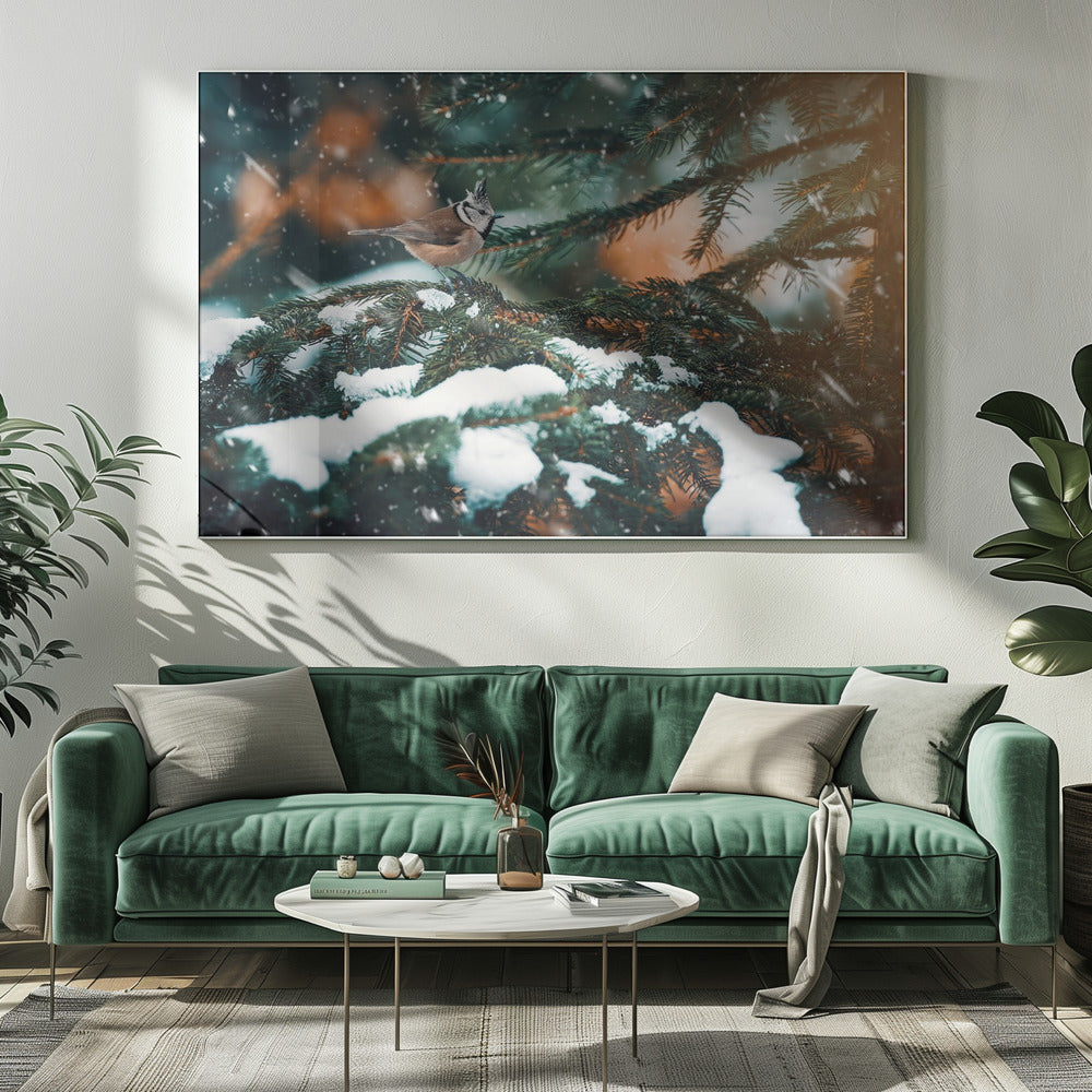 Punkig | Canvas