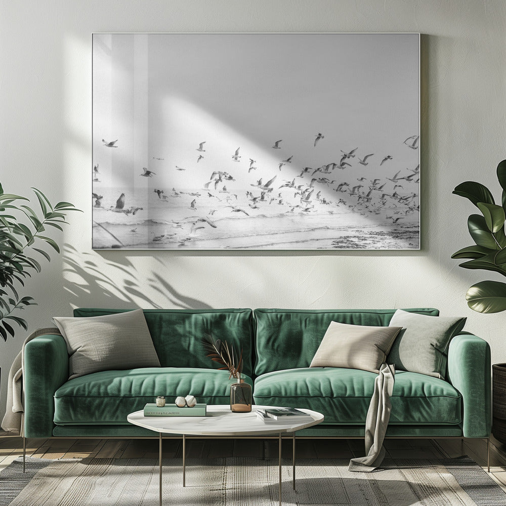 Mouettes-Côtières noires et blanches | Tableaux sur Toile